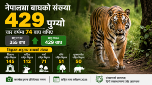 नेपालमा बाघको संख्या ४२९ पुगेको देखाउने बाघ संरक्षणसम्बन्धी इन्फोग्राफिक