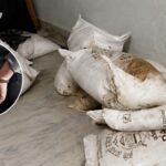 डीएपी मल प्रकरण: सराहीमा तीन जना पक्राउ, ११ बोरा मल बरामद