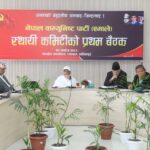 एमाले स्थायी कमिटी बैठकका निर्णय सार्वजनिक, १० जना केन्द्रीय सदस्यमा मनोनीत
